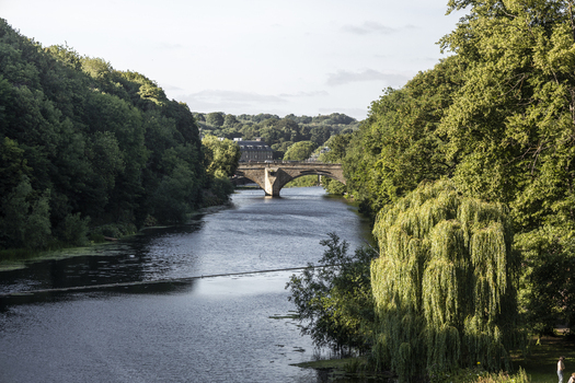 View of the River Wear flowing under a stone arch bridge surrounded by lush green trees and foliage in Durham England United Kingdom. View of the River Wear flowing under a stone arch bridge surrounded by lush green trees and foliage in Durham England United Kingdom.