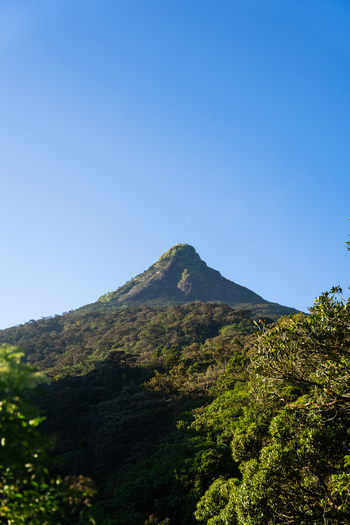 View of Adam s Peak rising above lush tropical forest under a clear blue sky Ratnapura Sabaragamuwa Province Sri Lanka. View of Adam s Peak rising above lush tropical forest under a clear blue sky Ratnapura Sabaragamuwa Province Sri Lanka.