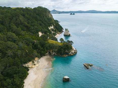 Aerial view of the rugged cliffs meet the turquoise sea creating a breathtaking contrast of textures and colors along the coastline Waikato Waikato Region New Zealand. Aerial view of the rugged cliffs meet the turquoise sea creating a breathtaking contrast of textures and colors along the coastline Waikato Waikato Region New Zealand.