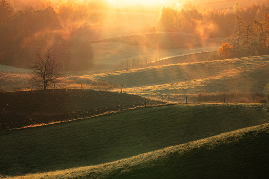 View of rolling green hills covered in morning mist and golden sunrise light with autumn trees in Wodzilki Podlaskie Voivodeship Poland. View of rolling green hills covered in morning mist and golden sunrise light with autumn trees in Wodzilki Podlaskie Voivodeship Poland.