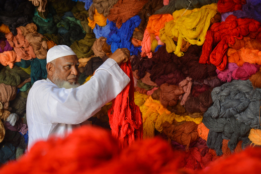 Joypurhat Bangladesh 22 September 2026 View of an elderly man holding a bundle of red dyed yarn in front of a wall stacked with colorful wool bundles in a textile workshop. Joypurhat Bangladesh 22 September 2026 View of an elderly man holding a bundle of red dyed yarn in front of a wall stacked with colorful wool bundles in a textile workshop.