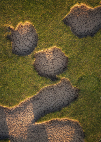Aerial view of cracked mud patches on a green grassy field near Portmarnock Beach in warm golden light County Dublin Ireland. Aerial view of cracked mud patches on a green grassy field near Portmarnock Beach in warm golden light County Dublin Ireland.