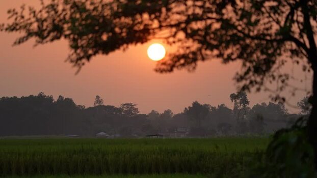 View of sunset over rural fields and silhouettes of trees Bangladesh. View of sunset over rural fields and silhouettes of trees Bangladesh.