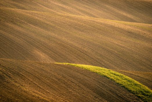 View of rolling hills with plowed soil and a vibrant green grass strip under warm golden light in Kunkovice Zlin Region Czechia. View of rolling hills with plowed soil and a vibrant green grass strip under warm golden light in Kunkovice Zlin Region Czechia.