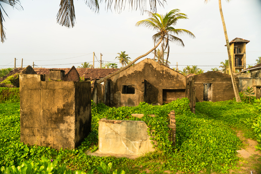 View of abandoned ruins overgrown with lush green vegetation and palm trees under a bright sky in Galle Southern Province Sri Lanka.