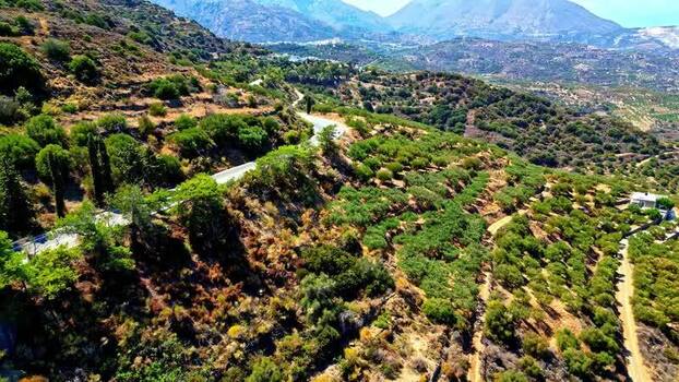 Aerial view of winding road in olive groves of Crete Greece.