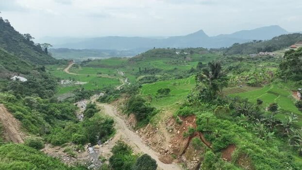 Aerial view of lush green valley and rice fields Indonesia.