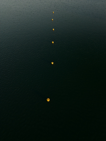 Aerial view of a line of yellow buoys floating on the dark surface of the sea near Plymouth Devon United Kingdom.