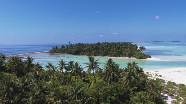 Aerial view of a tropical island with palm trees Maldives.
