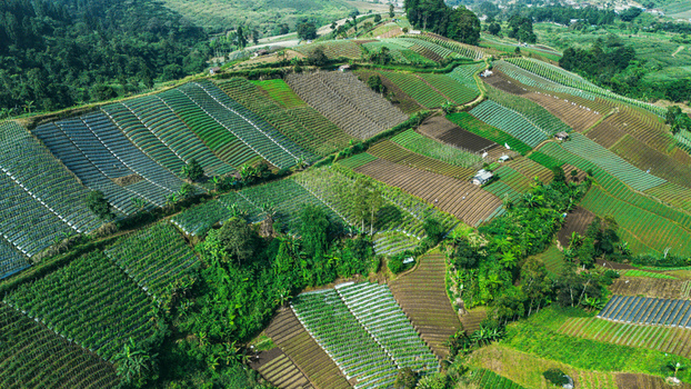 Aerial view of terraced agricultural fields and lush green crops on a hillside in Sukabumi West Java Indonesia. Aerial view of terraced agricultural fields and lush green crops on a hillside in Sukabumi West Java Indonesia.