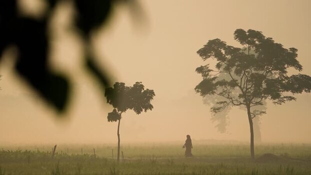 View of a woman walking in a misty field at sunrise Bangladesh.