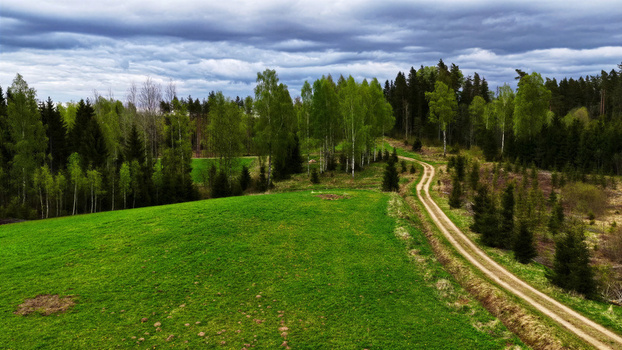 Aerial view of a winding dirt road cutting through a lush green meadow bordered by a dense forest under a dramatic cloudy sky in Latvia. Aerial view of a winding dirt road cutting through a lush green meadow bordered by a dense forest under a dramatic cloudy sky in Latvia.
