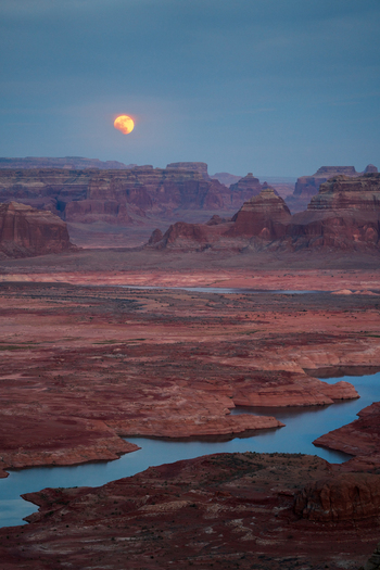 View of Lake Powell and red rock mesas with a large moon rising over the desert landscape and calm blue water under a twilight sky Lake Powell Arizona United States. View of Lake Powell and red rock mesas with a large moon rising over the desert landscape and calm blue water under a twilight sky Lake Powell Arizona United States.