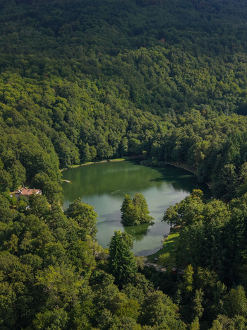 Aerial view of Lago Pontini surrounded by dense green forest with a small island in the middle of the lake in Bagno di Romagna Emilia Romagna Italy. Aerial view of Lago Pontini surrounded by dense green forest with a small island in the middle of the lake in Bagno di Romagna Emilia Romagna Italy.