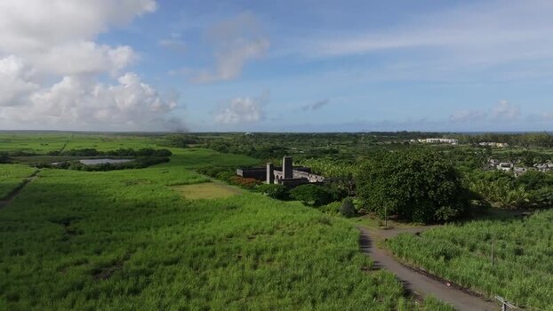 Aerial view of sugarcane fields and stone ruins Mauritius.