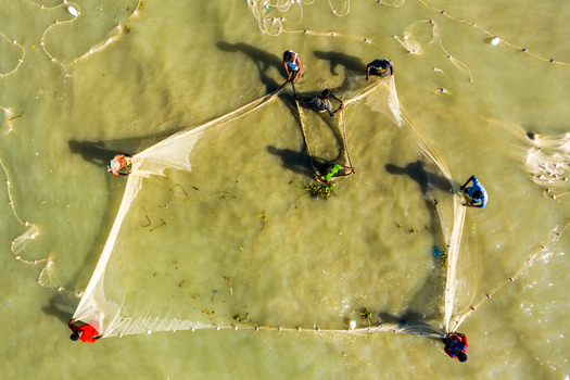 Aerial view of fishermen working together to pull a large fishing net through the shallow coastal waters in Kuakata Barisal Division Bangladesh. Aerial view of fishermen working together to pull a large fishing net through the shallow coastal waters in Kuakata Barisal Division Bangladesh.