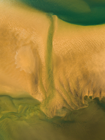 Aerial view of winding waterways carve through the ochre sand blending into the surrounding emerald green vegetation Rauðisandur Vesturbyggð Iceland. Aerial view of winding waterways carve through the ochre sand blending into the surrounding emerald green vegetation Rauðisandur Vesturbyggð Iceland.