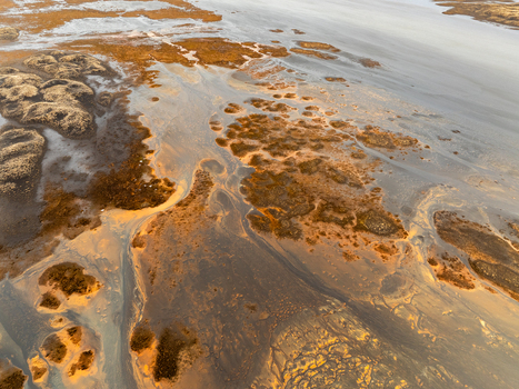 Aerial view of the intricate river channels and volcanic sediment patterns of the Icelandic landscape featuring dark sand and vibrant orange moss Iceland. Aerial view of the intricate river channels and volcanic sediment patterns of the Icelandic landscape featuring dark sand and vibrant orange moss Iceland.