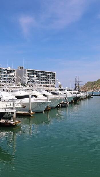 View of yachts docked at the Cabo San Lucas Marina Mexico.