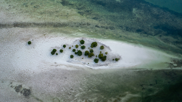 Aerial view of stark white sandbar kissed by shallow turquoise waters dotted with verdant trees a tropical jewel revealed from above Paje Unguja South Region Tanzania.