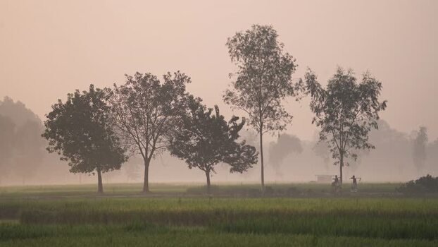 View of misty rural landscape with workers in Bogura Bangladesh.