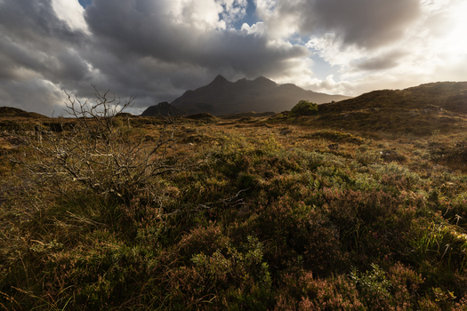 View of the rugged landscape of Skye featuring heather covered hills and distant mountains under a dramatic cloudy sky Highland Council Scotland United Kingdom.