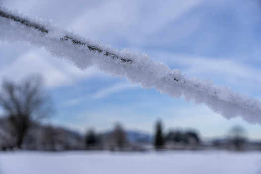 View of crystalline frost clinging to a wire against a backdrop of a blurred winter landscape under a pale sky Schwangau Bavaria Germany.