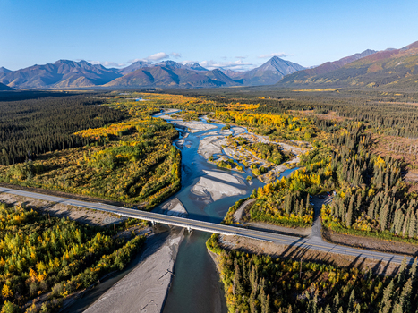 Aerial view of Tok River flowing through autumn foliage and coniferous forests with a bridge crossing the water in Southeast Fairbanks Census Area Alaska United States.