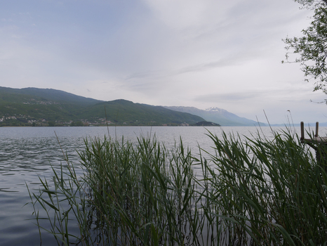 View of Lake Ohrid with reeds in the foreground and mountains in the background under a cloudy sky in Ohrid Municipality of Ohrid North Macedonia. View of Lake Ohrid with reeds in the foreground and mountains in the background under a cloudy sky in Ohrid Municipality of Ohrid North Macedonia.