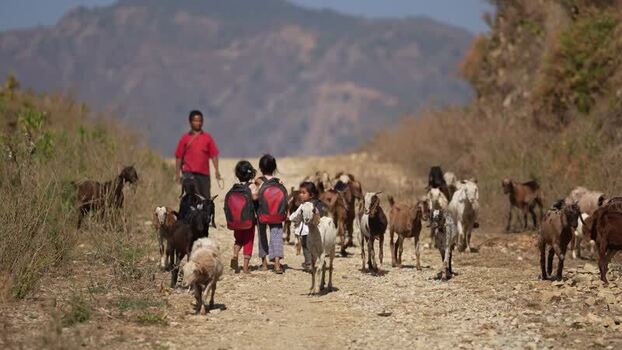 View of children walking with a herd of goats in Surkhet Nepal. View of children walking with a herd of goats in Surkhet Nepal.