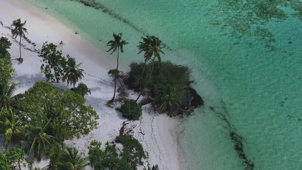 Aerial view of tropical beach with palm trees and turquoise water Maldives. Aerial view of tropical beach with palm trees and turquoise water Maldives.
