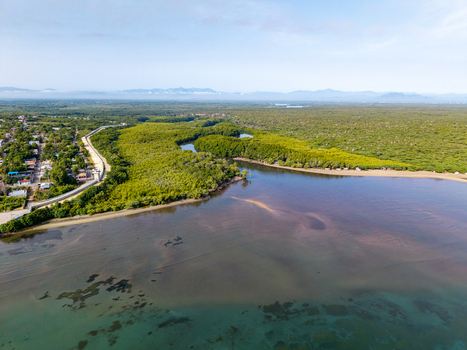 Aerial view of the lush mangrove forests bordering the coastal bay near the town of Pepillo Salcedo Monte Cristi Province Dominican Republic. Aerial view of the lush mangrove forests bordering the coastal bay near the town of Pepillo Salcedo Monte Cristi Province Dominican Republic.