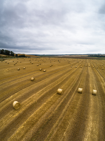 Aerial view of a vast harvested field filled with numerous round hay bales under a cloudy sky in Latvia. Aerial view of a vast harvested field filled with numerous round hay bales under a cloudy sky in Latvia.