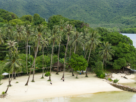 Aerial view of Bobby Beach s white sands kissed by turquoise waters fringed by swaying palms against verdant hills Karimunjawa Central Java Indonesia.