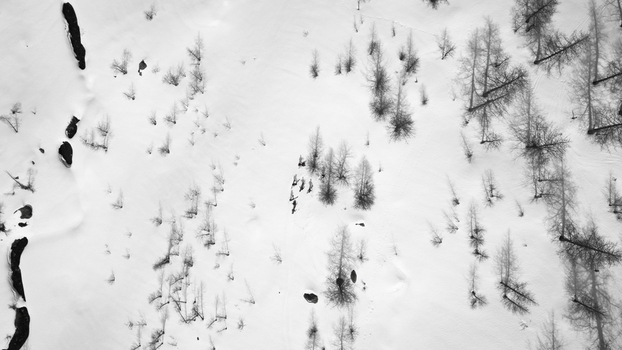Aerial view of stark trees punctuate the pristine white canvas of snow covered Mount Colmet a tranquil winter scene Arpy Valle d Aosta Italy. Aerial view of stark trees punctuate the pristine white canvas of snow covered Mount Colmet a tranquil winter scene Arpy Valle d Aosta Italy.