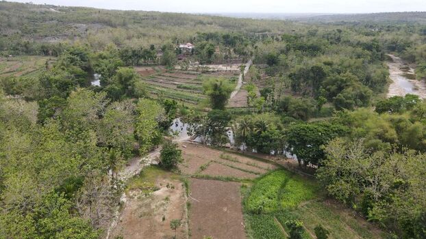 Aerial view of lush green fields agricultural plots and a winding river surrounded by dense tropical trees in Gunungkidul Regency Special Region of Yogyakarta Indonesia. Aerial view of lush green fields agricultural plots and a winding river surrounded by dense tropical trees in Gunungkidul Regency Special Region of Yogyakarta Indonesia.