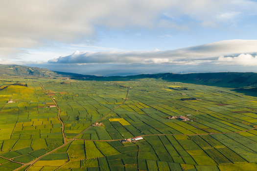 Aerial view of the vast green patchwork fields of Pico Dona Joana geodesico under a soft cloudy sky Feteira Acores Portugal. Aerial view of the vast green patchwork fields of Pico Dona Joana geodesico under a soft cloudy sky Feteira Acores Portugal.