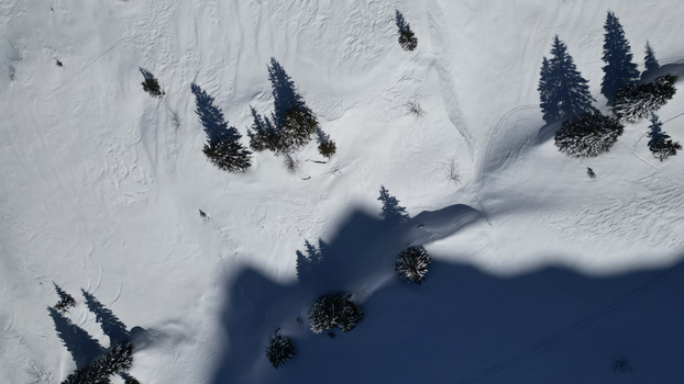 Aerial view of stark shadows cast by snow laden spruces dance across the pristine undulating blanket of white Samoëns Auvergne Rhône Alpes France. Aerial view of stark shadows cast by snow laden spruces dance across the pristine undulating blanket of white Samoëns Auvergne Rhône Alpes France.