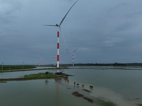 Aerial view of the Khurushkul wind farm with red and white turbines standing in a flooded landscape featuring a person walking with cattle in Cox s Bazar Chittagong Division Bangladesh. Aerial view of the Khurushkul wind farm with red and white turbines standing in a flooded landscape featuring a person walking with cattle in Cox s Bazar Chittagong Division Bangladesh.