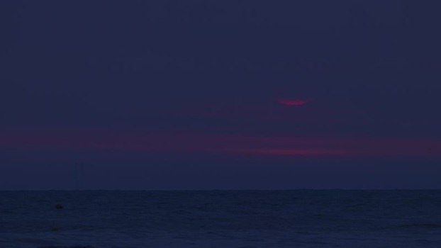 View of the sea red sky and flying bird France.