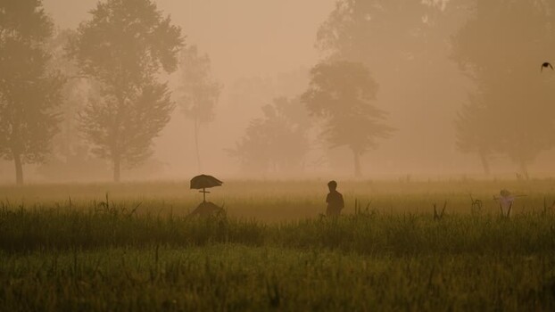 View of a farmer in a misty field at sunrise Bangladesh.