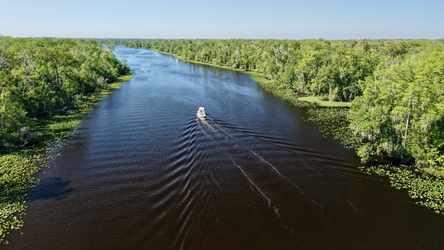 Aerial view of Sixmile Creek with a white boat cruising through the dark water surrounded by lush green forests and lily pads under a clear blue sky St. Johns County Florida United States.