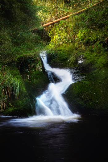 View of a cascading waterfall flowing over mossy rocks in a lush green forest along the Wicklow Way County Wicklow Ireland. View of a cascading waterfall flowing over mossy rocks in a lush green forest along the Wicklow Way County Wicklow Ireland.