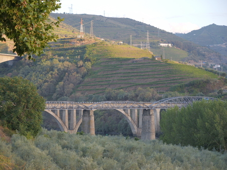 View of the historic railway bridge spanning the Douro River surrounded by lush terraced vineyards and olive groves in Peso da Regua Vila Real District Portugal.