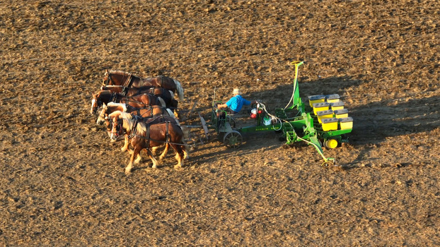 Aerial view of an Amish farmer driving a team of four horses pulling a mechanical planter across a freshly tilled field at an Amish farm in Bird in Hand Pennsylvania United States.