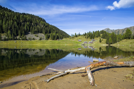 View of a serene lake mirroring the sky and trees with a fallen branch on the sandy shore offering a tranquil vista in Duisitzkarsee Styria Austria. View of a serene lake mirroring the sky and trees with a fallen branch on the sandy shore offering a tranquil vista in Duisitzkarsee Styria Austria.