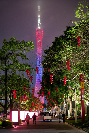 Guangzhou Guangdong Province China 24 February 2024 View of the illuminated Canton Tower at night with trees decorated with red lanterns and people walking along the pathway. Guangzhou Guangdong Province China 24 February 2024 View of the illuminated Canton Tower at night with trees decorated with red lanterns and people walking along the pathway.