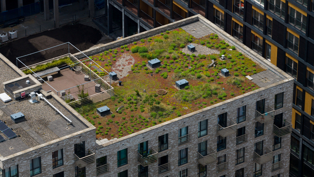 Aerial View of Green Roof for Climate Adaptation Aerial View of Green Roof for Climate Adaptation