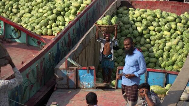 View of workers unloading watermelons at Sadarghat port Bangladesh.