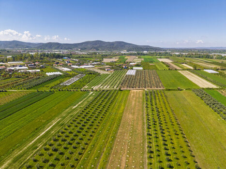 Aerial view of agricultural fields orchards and greenhouses in the rural landscape of Lushnje Fier County Albania. Aerial view of agricultural fields orchards and greenhouses in the rural landscape of Lushnje Fier County Albania.